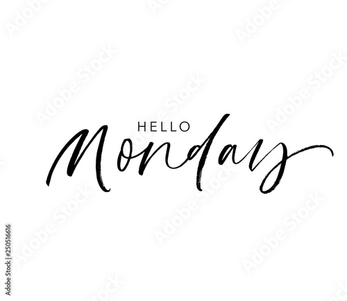 Hello Monday phrase. Vector hand drawn brush style modern calligraphy.