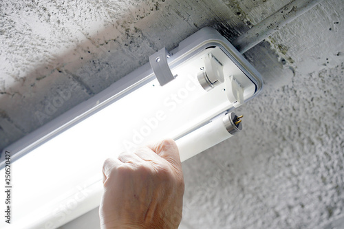 Electric hands changing ceiling fluorescent lamp. The concept of repair and service. photo