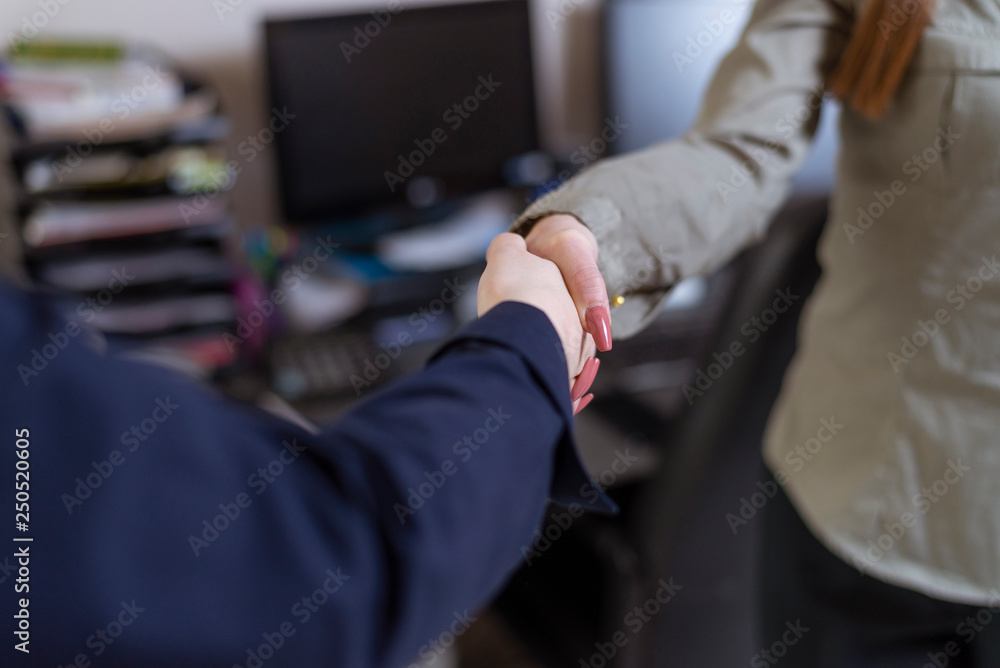 Two women handshake in the office