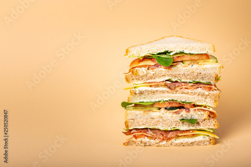 Cut tasty sandwich concept photo