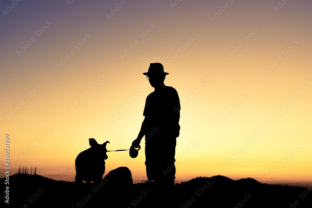 silhouette of man with dog