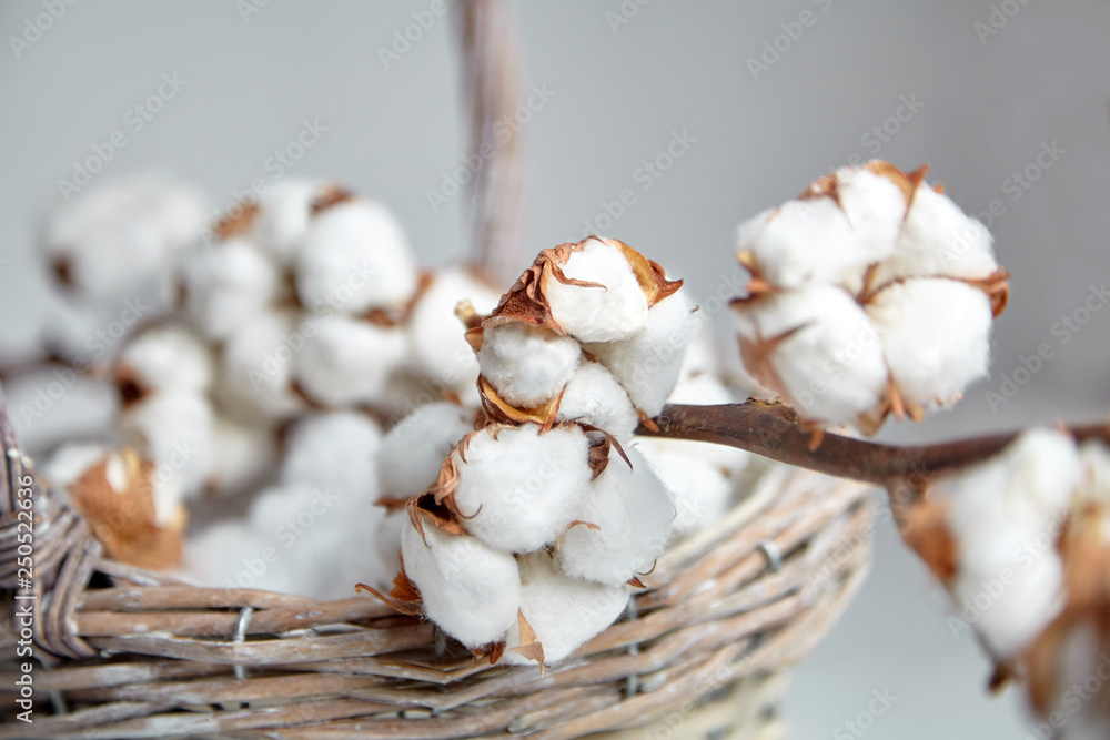 White cotton flowers in a basket