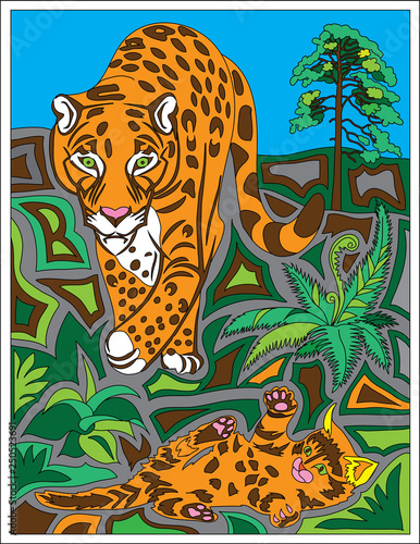 leopards