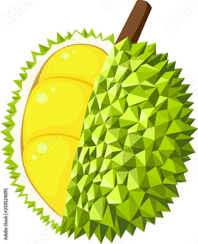 Durian vector