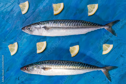close-up of two raw fresh healthy mackerel fish ion a blue background, top view