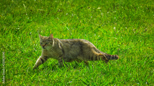 Photography Exploring Napier in New-Zealand