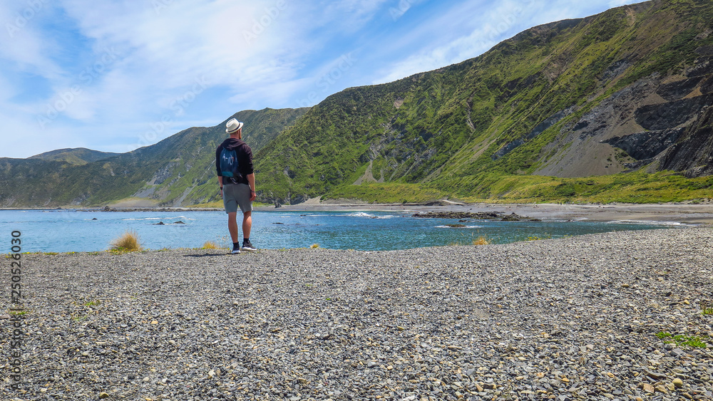 Red Rocks Reserve in Wellington, New-Zealand Stock Photo | Adobe Stock