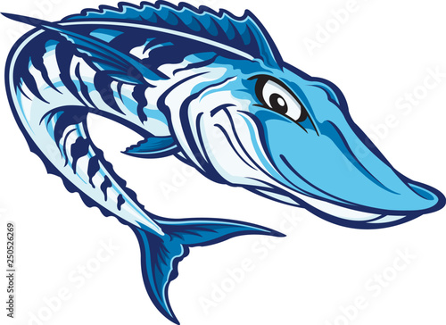 Wahoo fish