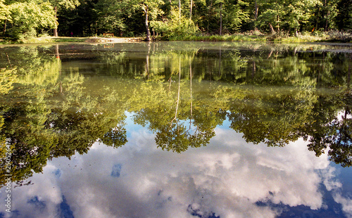 Reflection on a lake in countryside France in summer