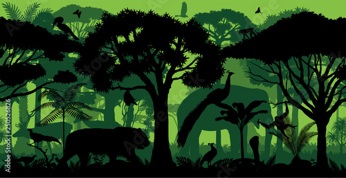 Vector Indian horizontal seamless tropical rainforest Jungle forest background with animals