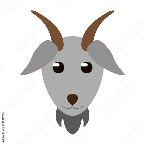 goat animal head