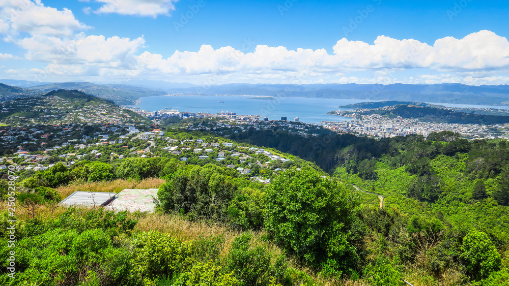 Botanic Garden and Cable Car in Wellington
