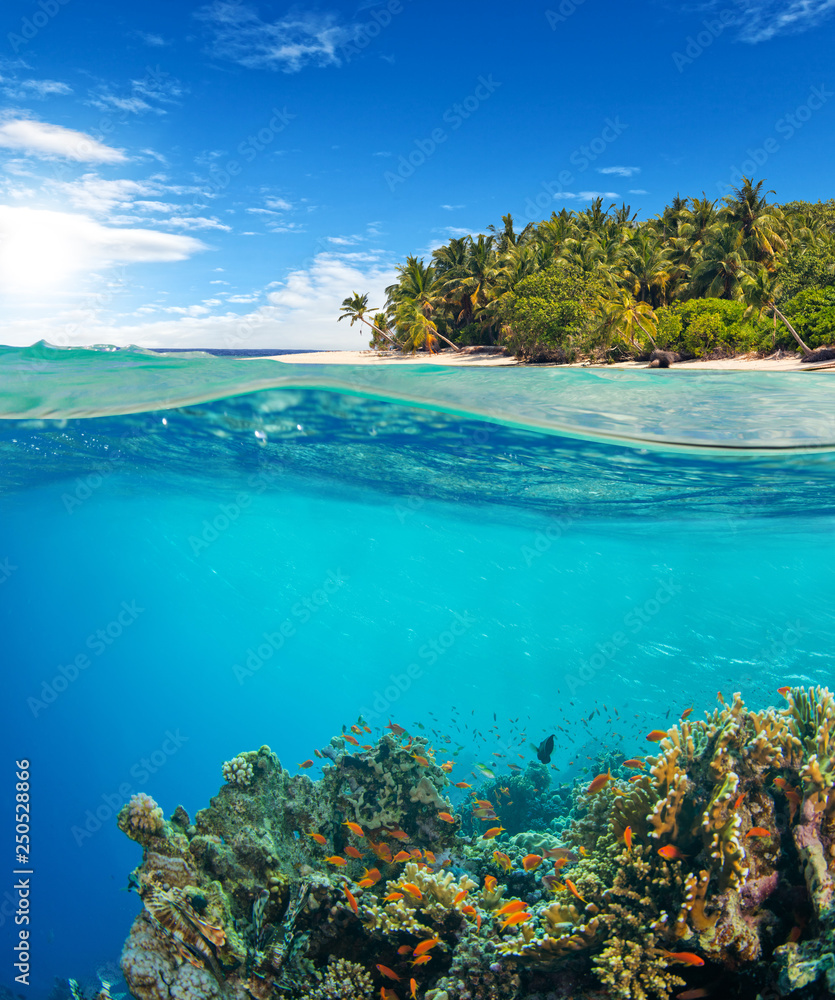 Under and above water surface view of coral reef