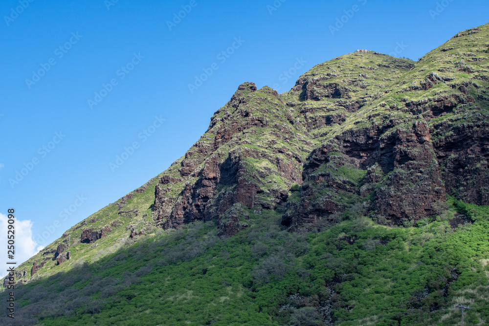 Hawaii Oahu Waianae Kai Forest Reserve