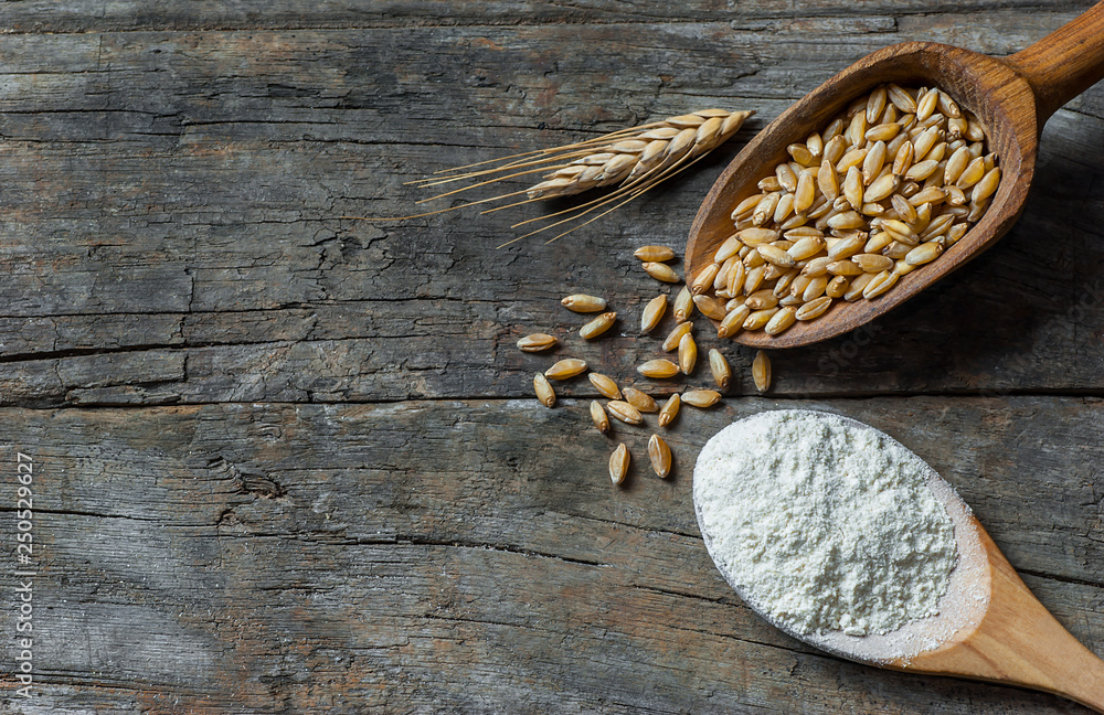 Wheat grains and wheat flour in wooden scoop or shovel with spikes or ears on rustic wooden background .Wheat ingredient of flour, bread. Food ingredient cereals concept. Wheat grains and wheat flour in wooden scoop or shovel with spikes or ears on rustic wooden background .Wheat ingredient of flour, bread. Food ingredient cereals concept.