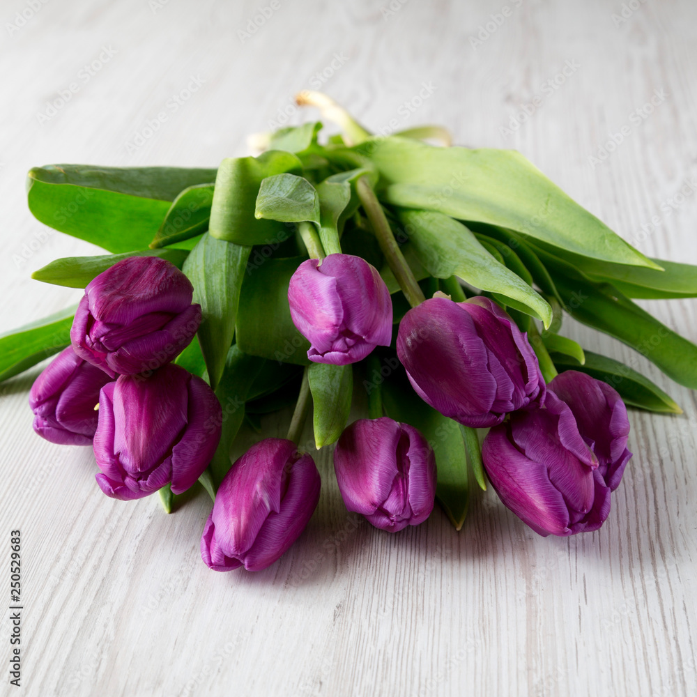 Purple tulips on white wooden background, side view. Close-up.