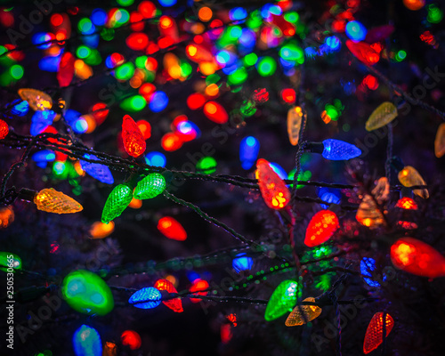 outdoor christmas lights