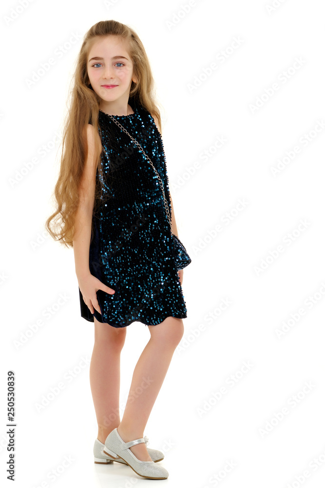 Little girl in an elegant dress. Little girl in an elegant dress.
