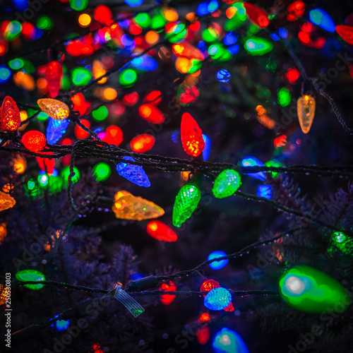 outdoor christmas lights