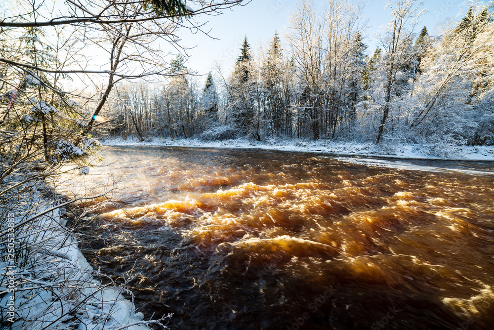 frozen forest river in winter