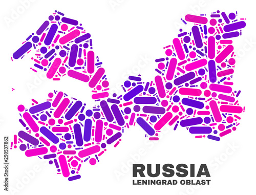 Mosaic Leningrad Region map isolated on a white background. Vector geographic abstraction in pink and violet colors. Mosaic of Leningrad Region map combined of scattered round dots and lines. photo