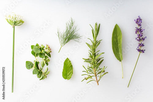 fresh herbs and spices on a white background
