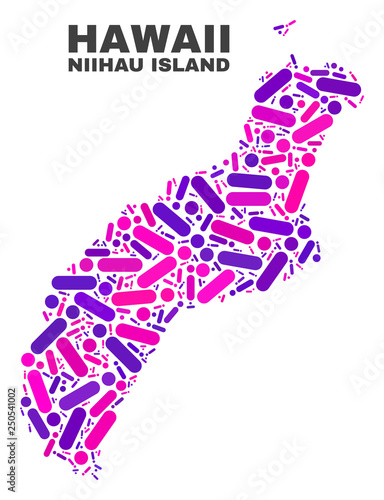 Mosaic Niihau Island map isolated on a white background. Vector geographic abstraction in pink and violet colors. Mosaic of Niihau Island map combined of random round points and lines.