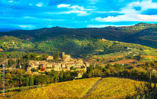 Montefioralle village and vineyards, Greve in Chianti Firenze Tuscany, Italy photo