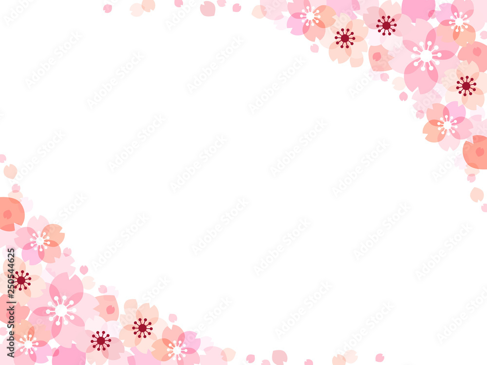 桜の花のイラストの背景素材