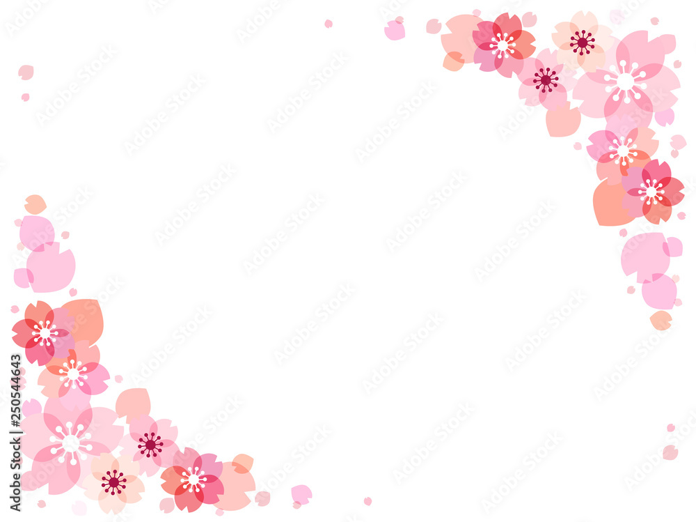 桜の花のイラストの背景素材