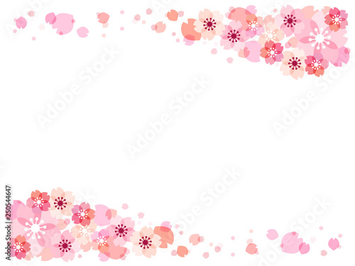 桜の花のイラストの背景素材