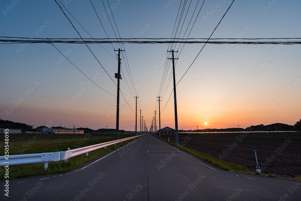 夕日の中の道の両端にまっすぐに電柱の並ぶ風景