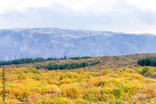 Landscape view of Thingvellir mountains on golden circle in Iceland during day and national park with nobody and yellow autumn foliage