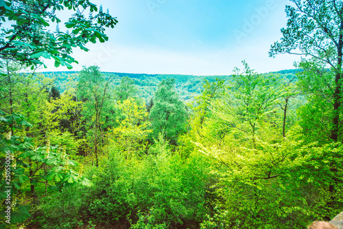 Teutoburger Wald