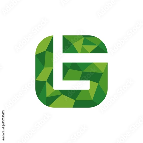 letter T and G vector logo
