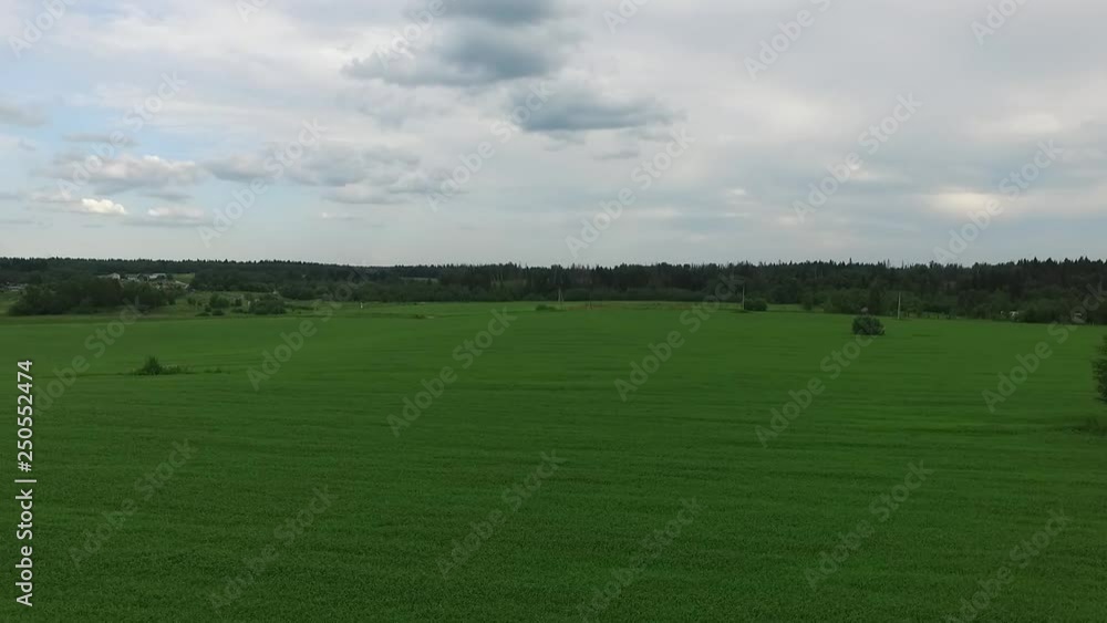 fly ofer the green spring field of grass and three fly ofer the green spring field of grass and three