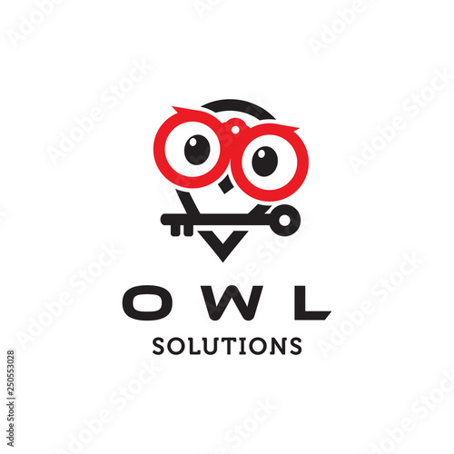 owl bird hold key solution logo icon vector template