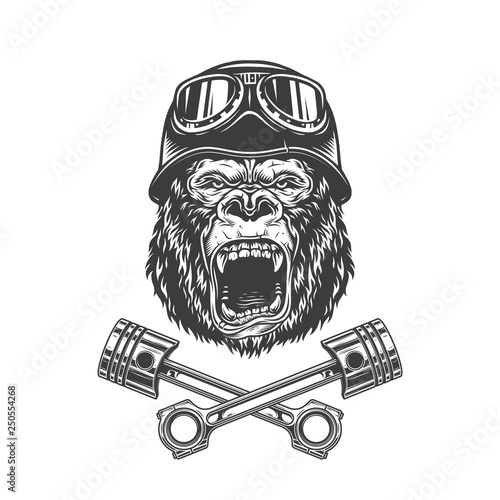 Ferocious gorilla head in biker helmet