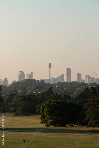 Sydney skyline under the sunset light behind a park.