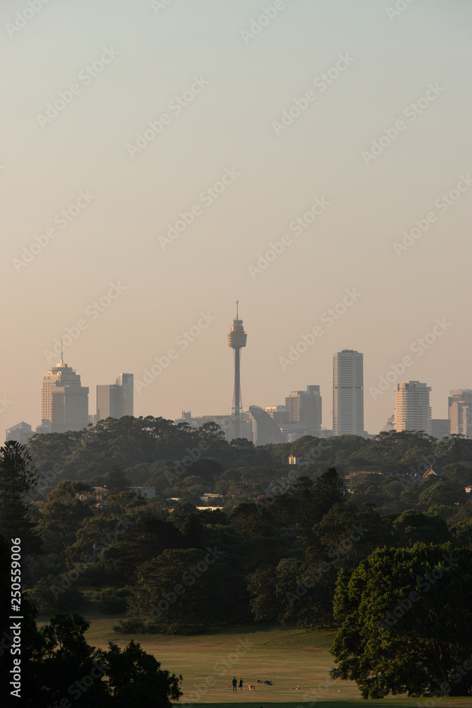Fototapeta premium Sydney skyline under the sunset light behind a park.