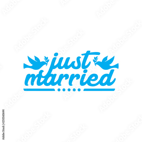 Just married hand lettering text for wedding cards and invitation. Vector illustration phrase Isolated on white background.