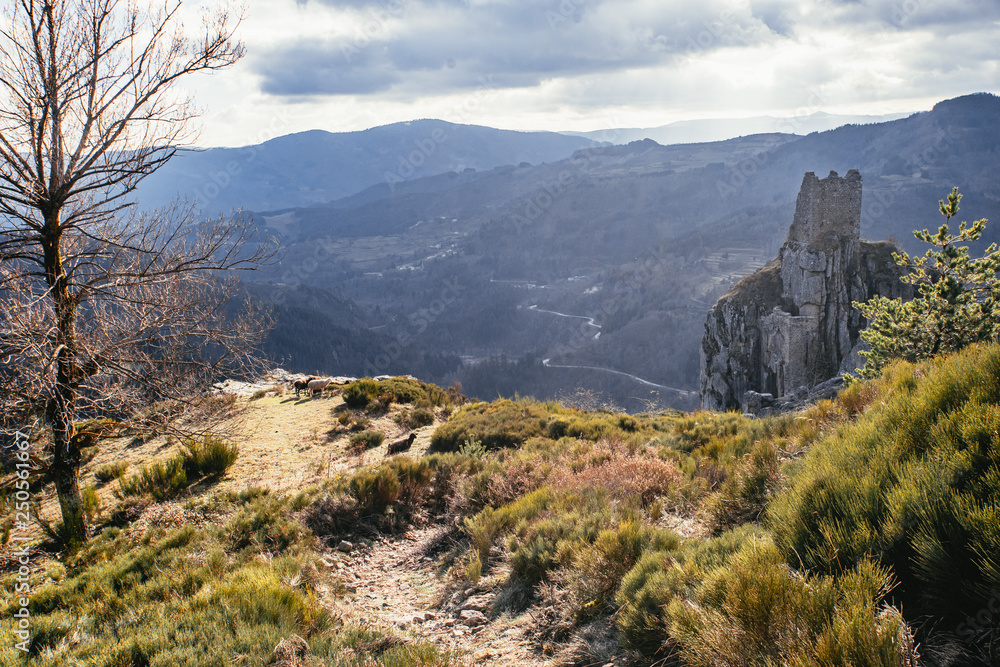 Obraz premium Path leading towards medieval tower ruins built on a rock