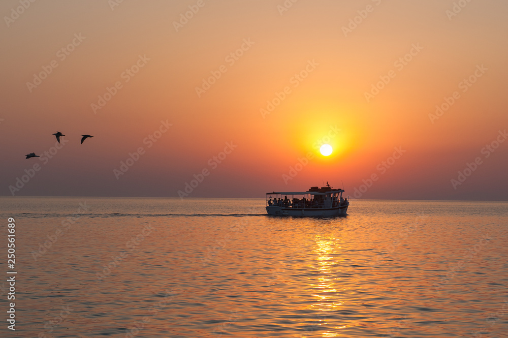 yacht with tourists at sunset with birds flying away