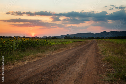 country road and sunset sky