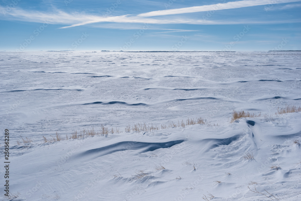 Vast snow covered field in Saskatchewan with grass poking out of snowbank