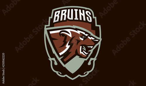 Colorful emblem of an aggressive bear. Sports logo bear. Forest predator, wild beast. Vector illustration