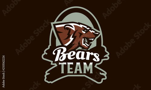 Colorful emblem of an aggressive bear. Sports logo bear. Forest predator, wild beast. Vector illustration