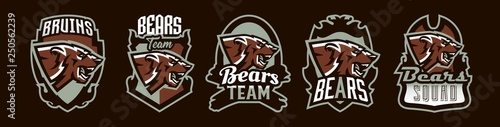 Set of aggressive bear emblems. Sports logo bear. The head of a forest predator, a wild beast. Colorful collection, vector illustration