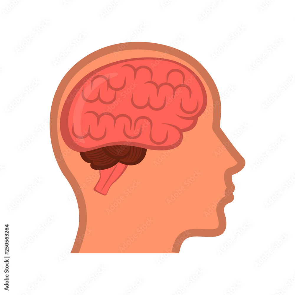 Isolated human brain in a body. Vector illustration design Isolated human brain in a body. Vector illustration design