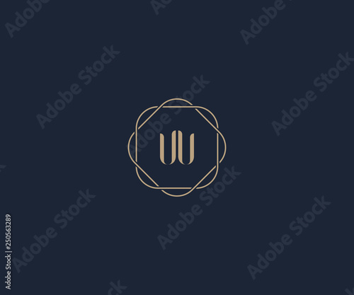 luxury initial letter VV logo design template photo